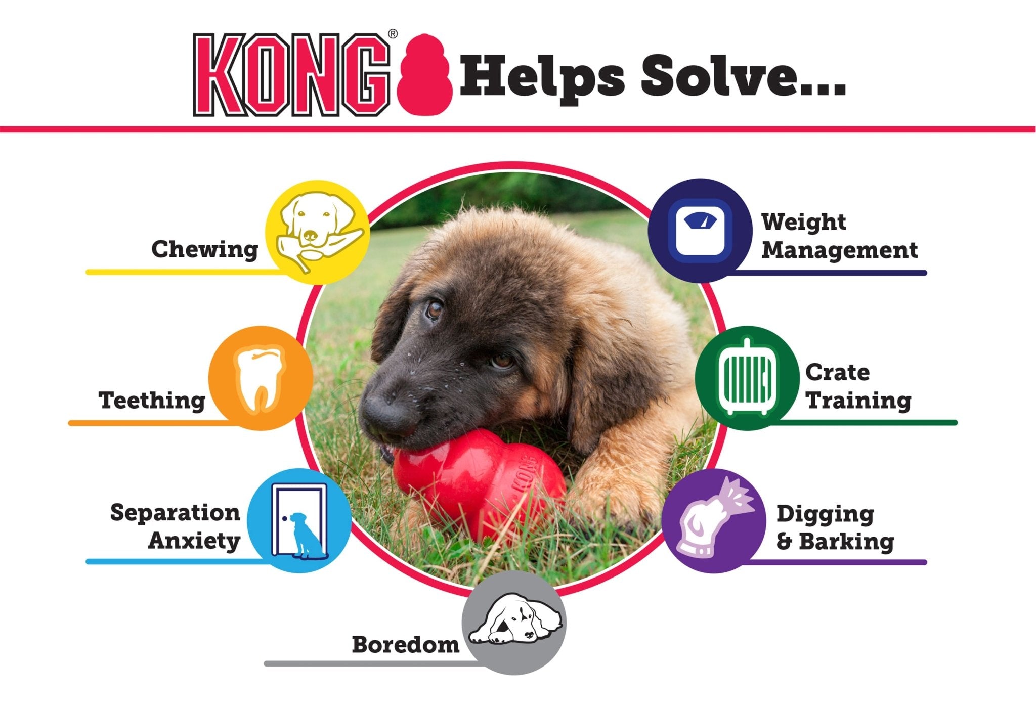 KONG Extreme Treat-Stuffing Dog Toy