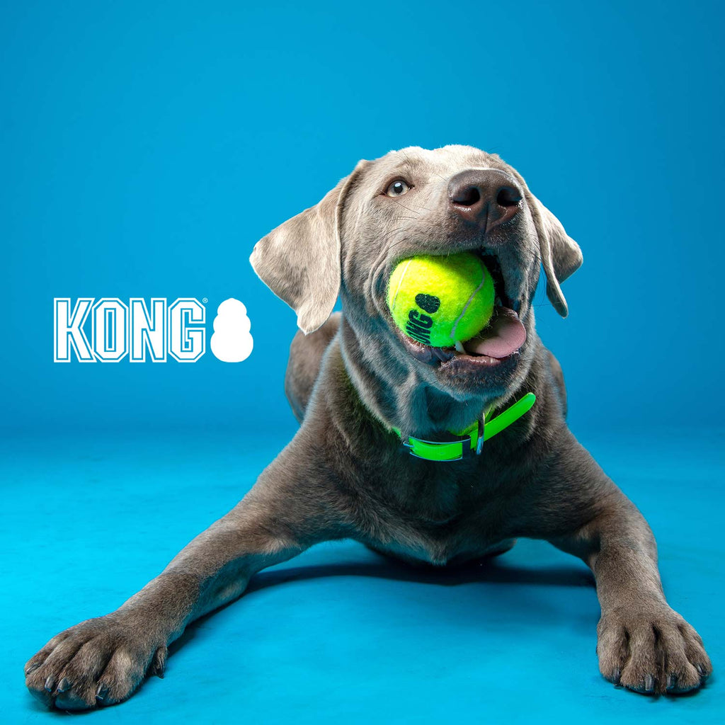 KONG SqueakAir® Ball – Squeaker Tennis Ball