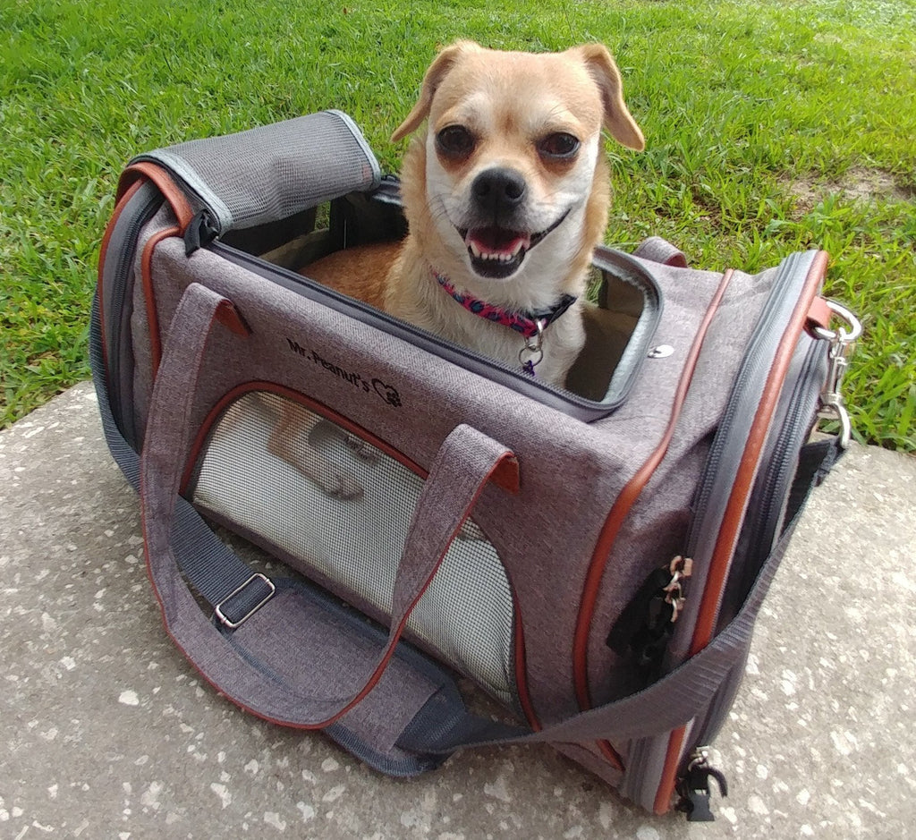 Mr. Peanut's Gold Series Airline Pet Carrier