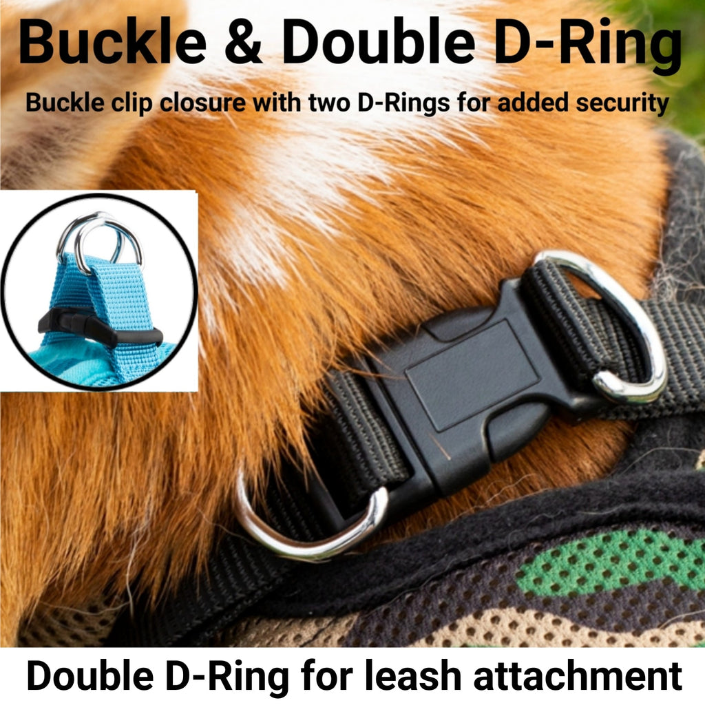 Mr. Peanut's Harness with Matching Leash