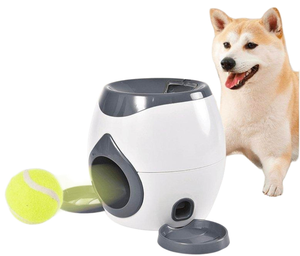 Automatic Ball Launcher And Feeder