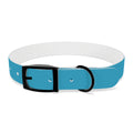 PAC Leash-Collar Bundle | Turquoise